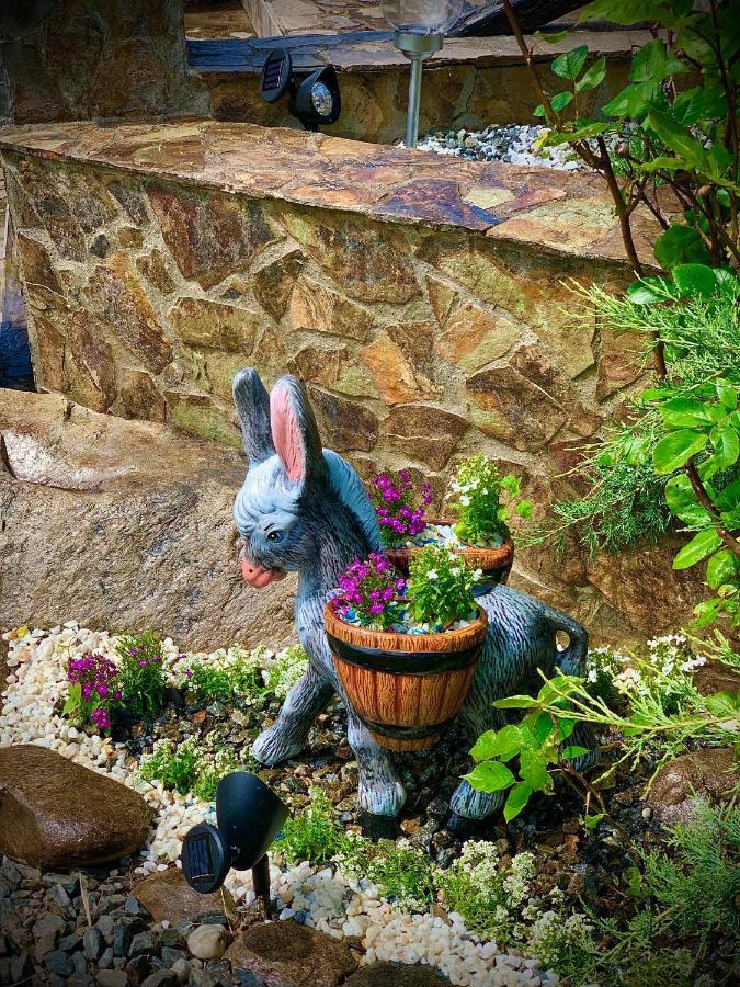 Rustic Cottage シビウ エクステリア 写真